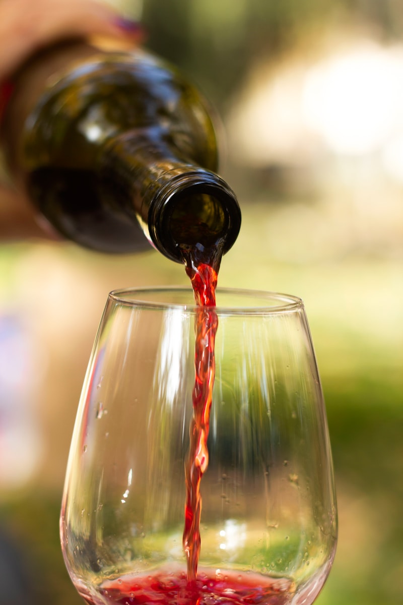 Tannat de la casa (copa)